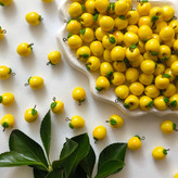 خرجکار میوه سیب مینیاتوری فانتزی(ویژه یلدا)(فروش بصورت یک عدد آویز می باشد)